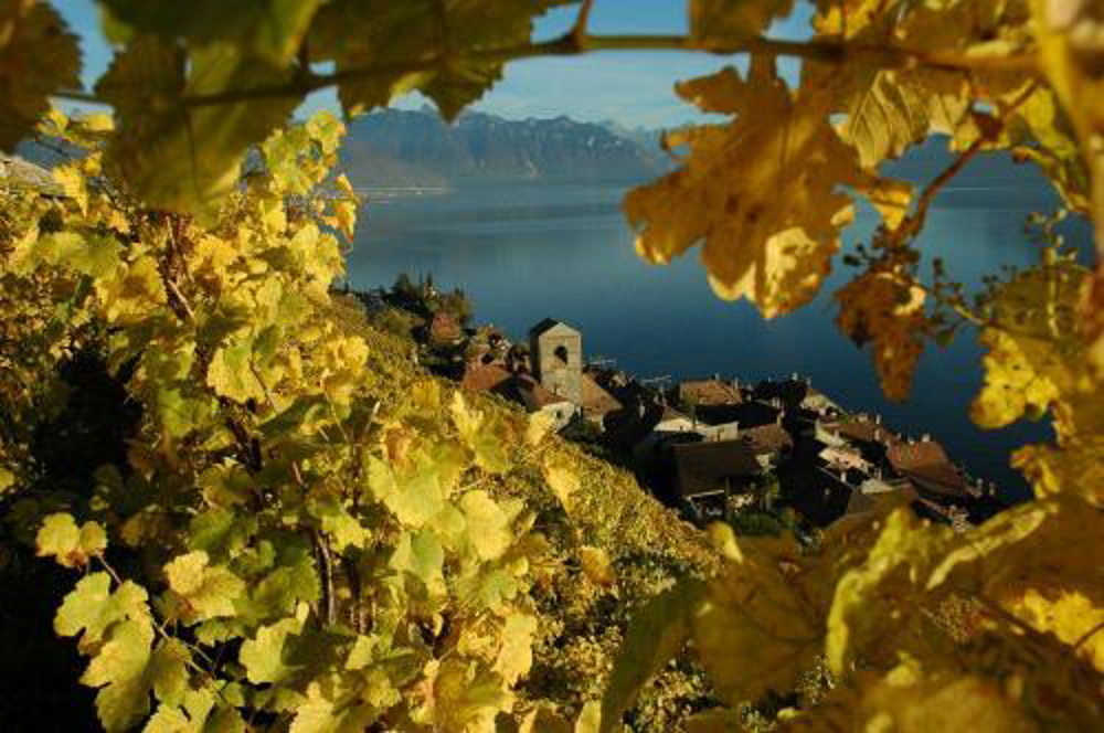You are currently viewing Il Lavaux e dintorni