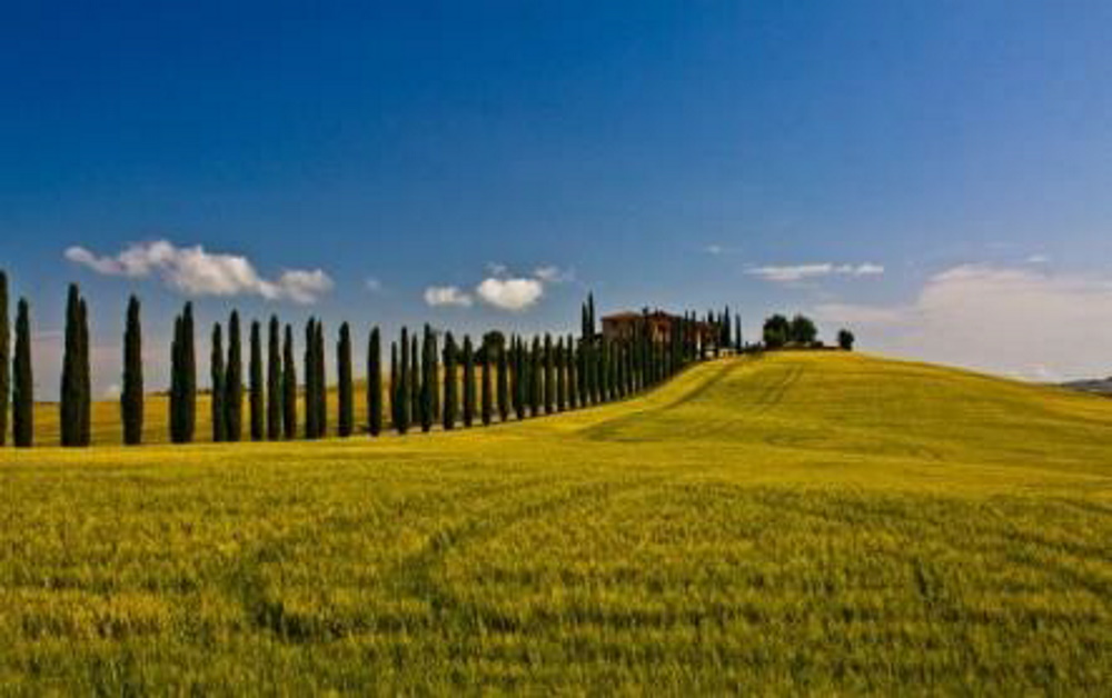 You are currently viewing Toscana VAL D’ORCIA